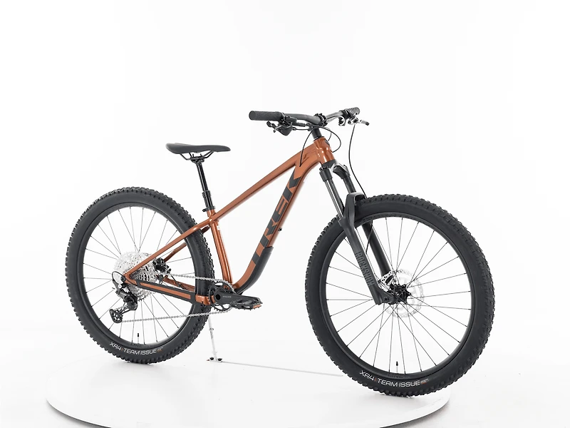 Roscoe 7 - 2025