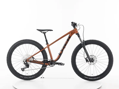Roscoe 7 - 2025
