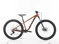 Roscoe 7 - 2025
