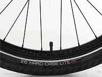 Verve+ 4S Lowstep - 2026, Large