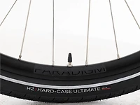 Verve 3 Lowstep Gen 5 - 2026, Small