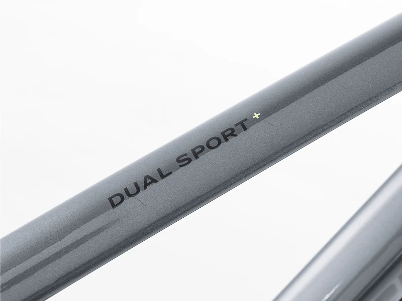 Dual Sport+ 2 LT - 2025, Medium