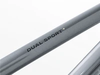 Dual Sport+ 2 LT - 2025, Medium
