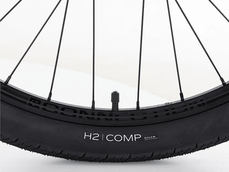 Verve+ 1 Lowstep LT - 2026, Medium