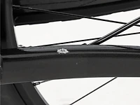 Marlin+ 6 - 2025, Medium