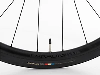Domane SL 5 Gen 4 - 2025, 54cm