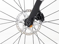 Domane AL 5 Gen 4 - 2026, 52cm