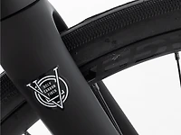 Domane AL 5 Gen 4 - 2026, 52cm