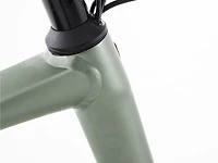 Domane AL 5 Gen 4 - 2026