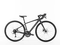 Domane AL 2 Gen 4 - 2026, 44cm