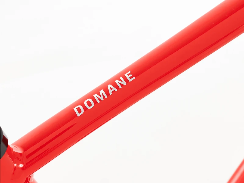 Domane AL 4 Gen 4 - 2024, 56cm