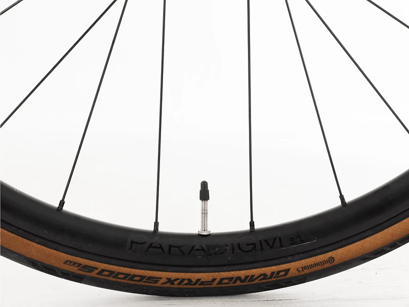 Domane AL 4 Gen 4 - 2026, 56cm
