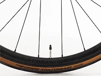 Domane AL 4 Gen 4 - 2026, 56cm