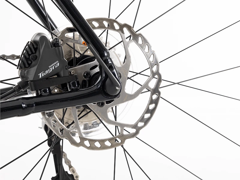 Domane AL 4 Gen 4 - 2026, 58cm