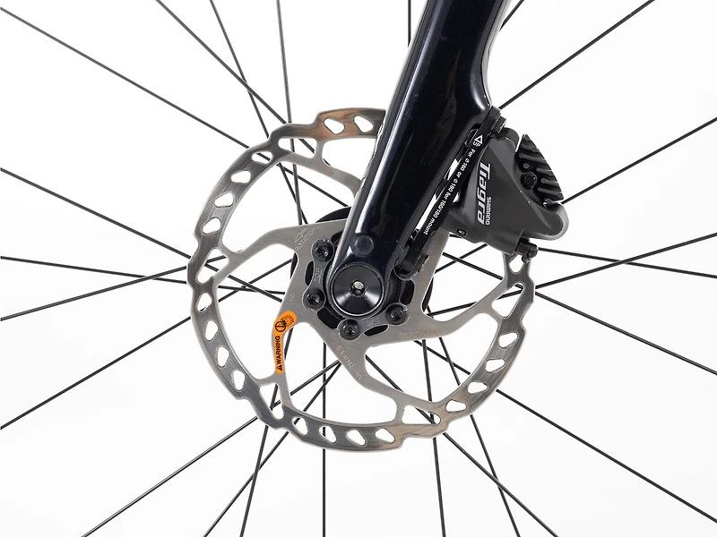 Domane AL 4 Gen 4 - 2026, 58cm