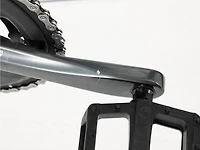 Domane AL 4 Gen 4 - 2026, 58cm