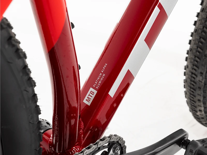 Procaliber 6 - 2025, Medium/Large