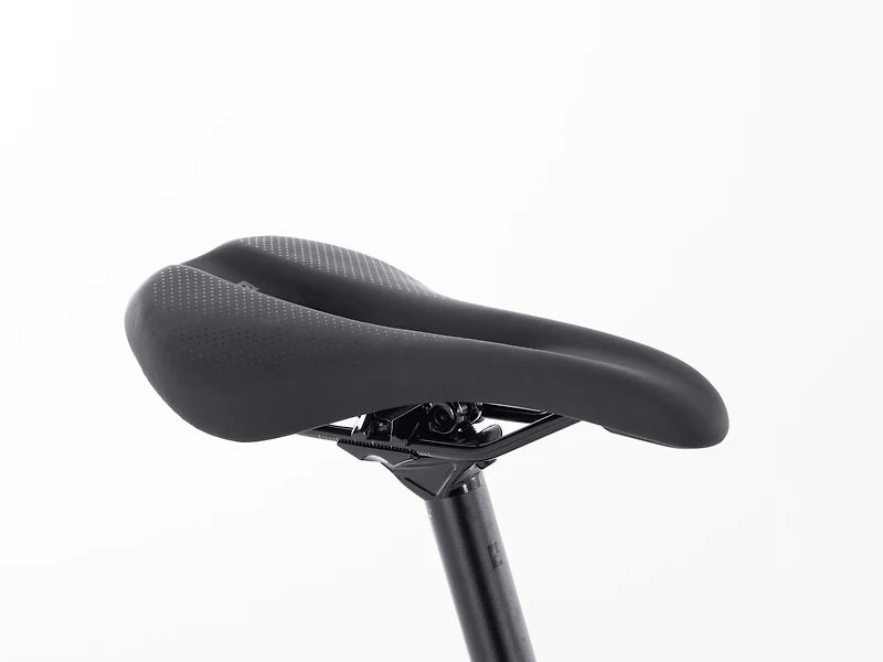Checkpoint ALR 4 Gen 2 - 2025, 58cm