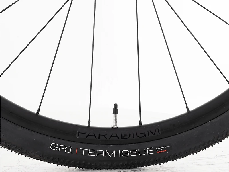 Checkpoint ALR 4 Gen 2 - 2025, 61cm