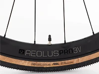 Checkmate SLR 7 AXS - 2025