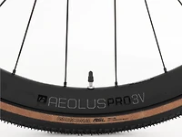 Domane+ SLR 7 AXS - 2025