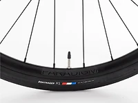 Domane+ AL 5 - 2025, 52cm