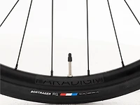 Domane+ AL 5 - 2025