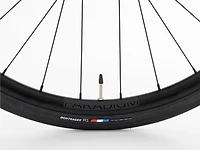 Domane+ AL 5 - 2025