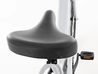 Townie Go! S - 2026, Small