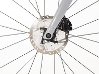 Domane SL Custom Gen 4 - 2026, 54cm