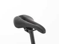 Domane SL 5 Gen 4 - 2025, 60cm