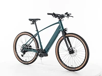 FX+ 1S - 2026, Large