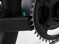 Domane+ ALR 5 - 2027