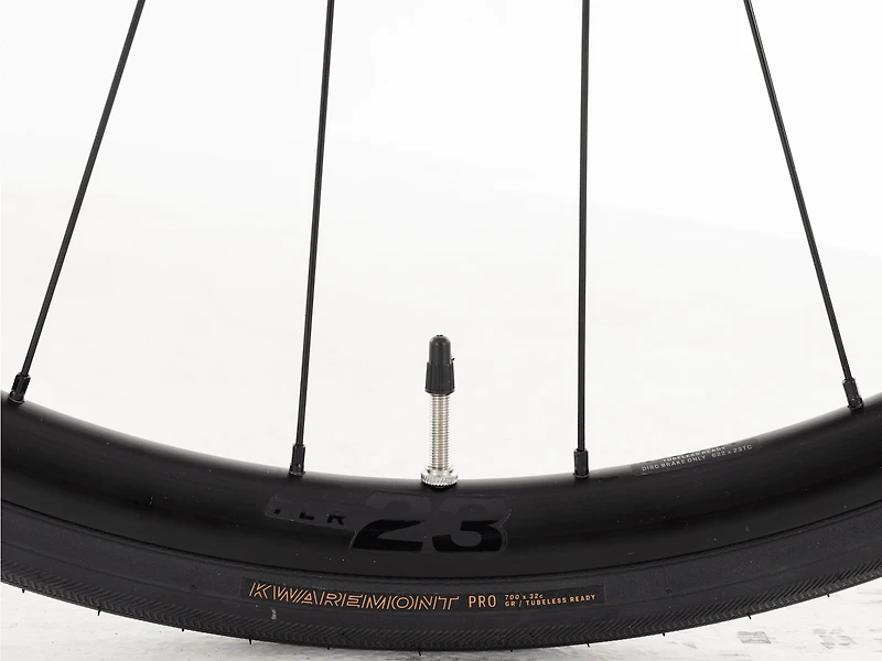 Domane+ ALR 6 AXS - 2026