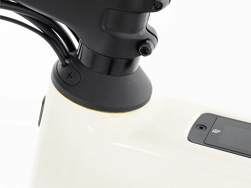 Domane+ ALR 6 AXS - 2026