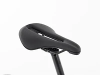 Domane+ ALR 6 AXS - 2026