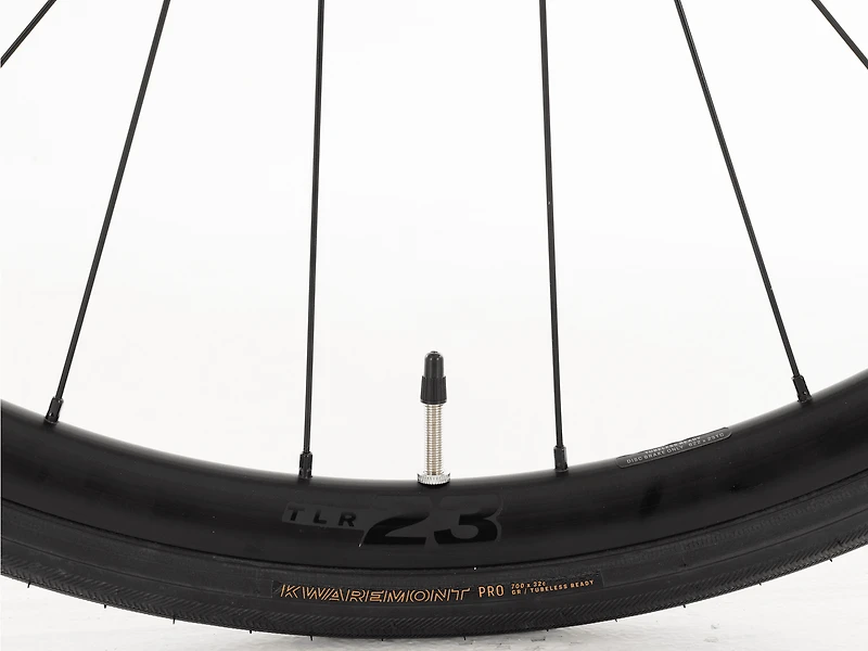 Domane+ ALR 6 AXS - 2026