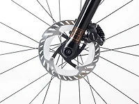 CheckOUT SL 5 - 2026