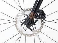 CheckOUT SL 5 - 2026