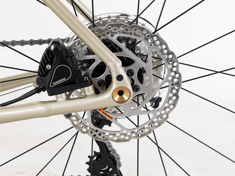 Domane AL 4 Gen 4 - 2027, 54cm