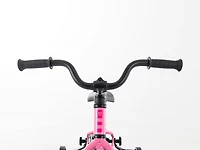 Precaliber 12" - 2027