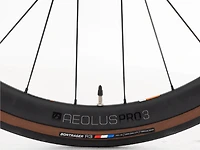 Domane SL 7 Disc Women's - 2019, 47cm