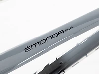 monda ALR Disc Frameset - 2022