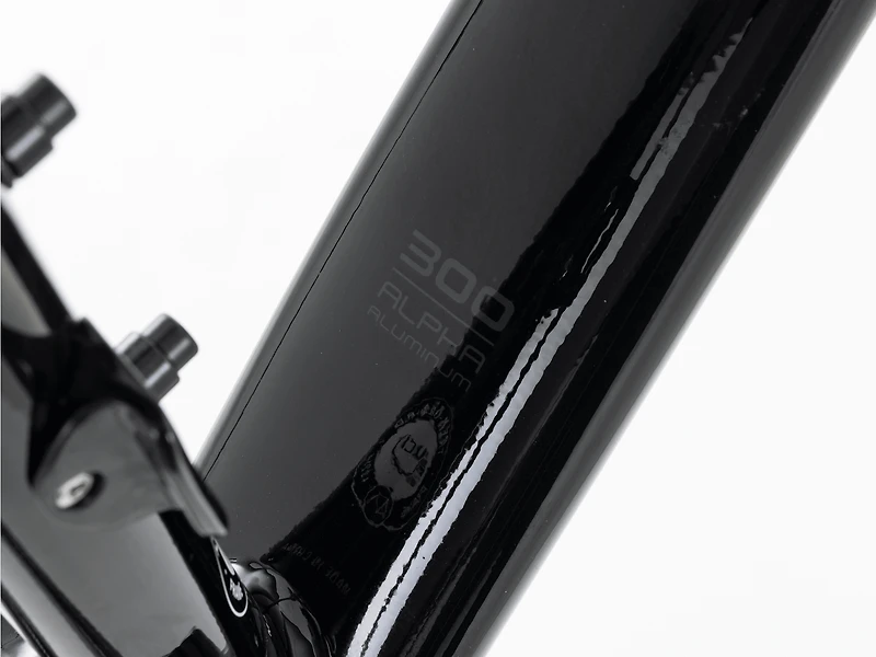 monda ALR Disc Frameset - 2022
