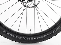 Stache 7 - 2024, Medium