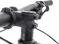 Stache 7 - 2024, Medium