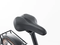 Allant+ 8S - 2021, Large