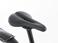 Allant+ 8S - 2021, Large