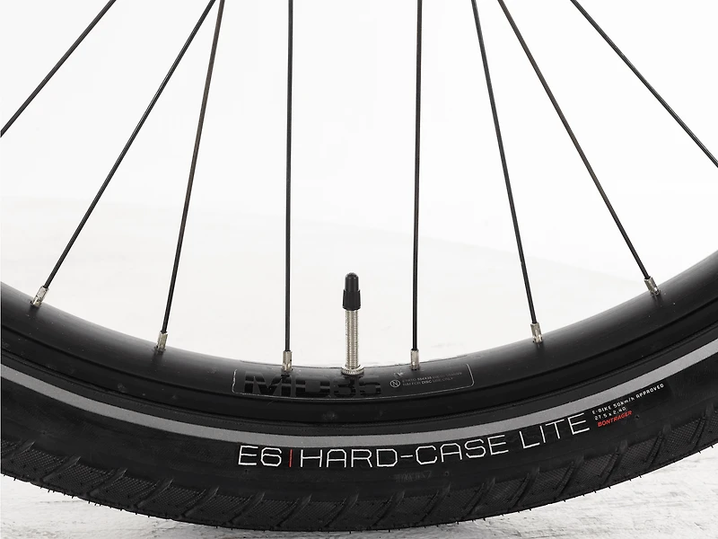 Allant+ 8S - 2021, Large