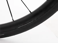 Domane+ LT Gen 1 - 2021, 56cm